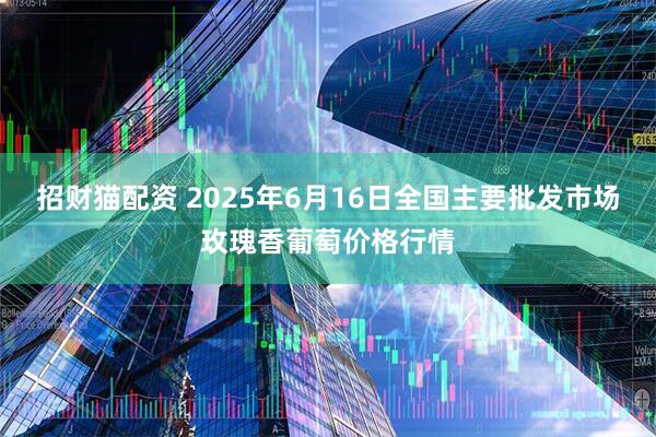 招财猫配资 2025年6月16日全国主要批发市场玫瑰香葡萄价格行情