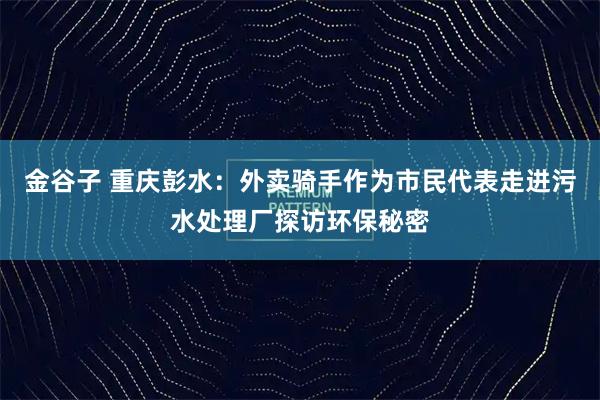 金谷子 重庆彭水:外卖骑手作为市民代表走进污水处理厂探访环保秘密
