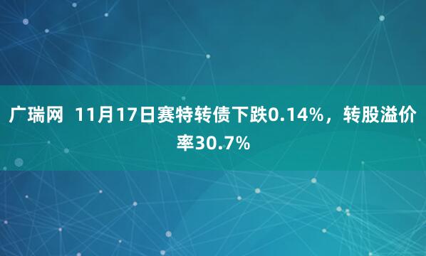 广瑞网 11月17日赛特转债下跌0.14%,转股溢价率30.7%
