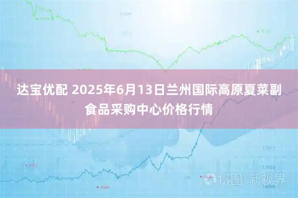 达宝优配 2025年6月13日兰州国际高原夏菜副食品采购中心价格行情