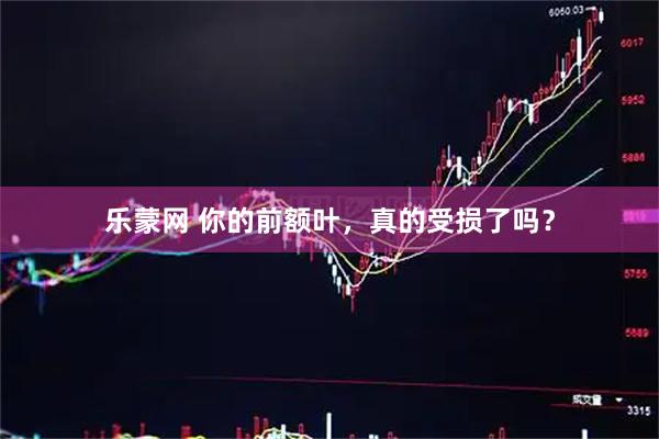 乐蒙网 你的前额叶，真的受损了吗？